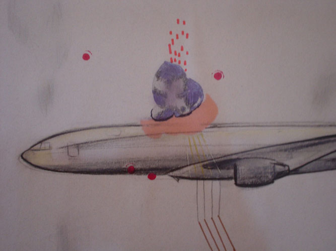 Meridith Burton - drone