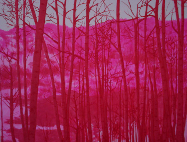 Meridith Burton - red mountain pass